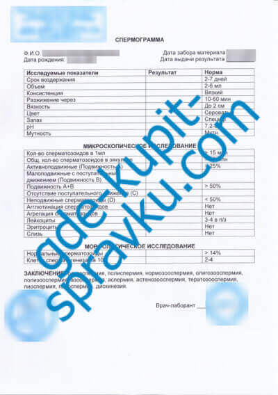 spermogramma